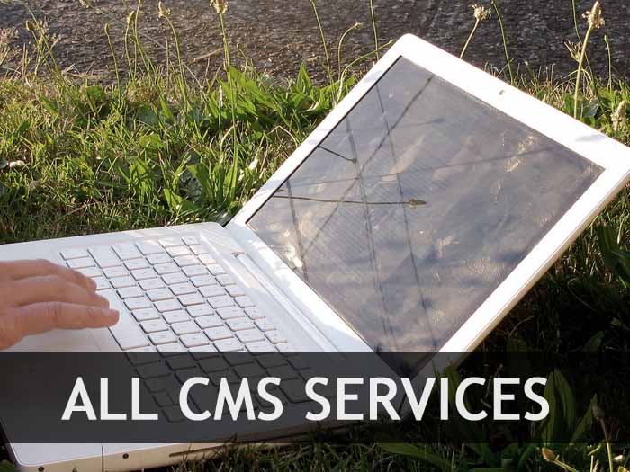 Wordpress Development Services