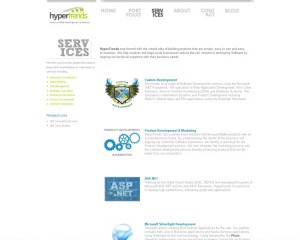 Hyper Trends. Services page