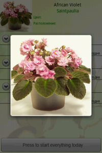 first android app violet screenshot