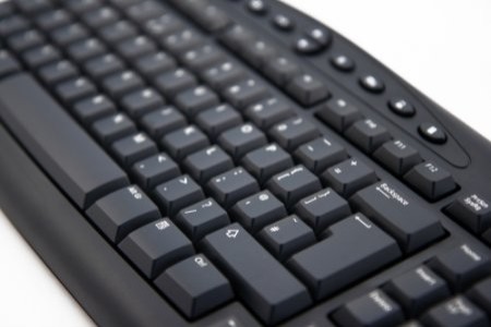 WordPress Development Services