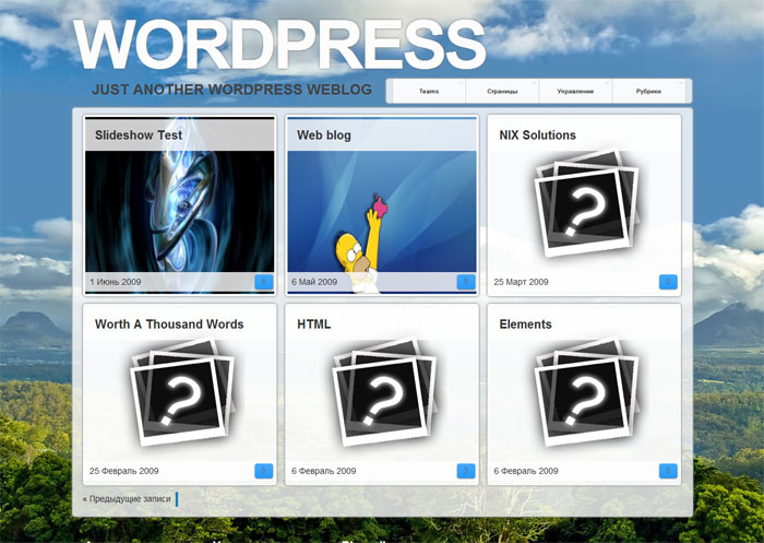 WordPress theme screenshot