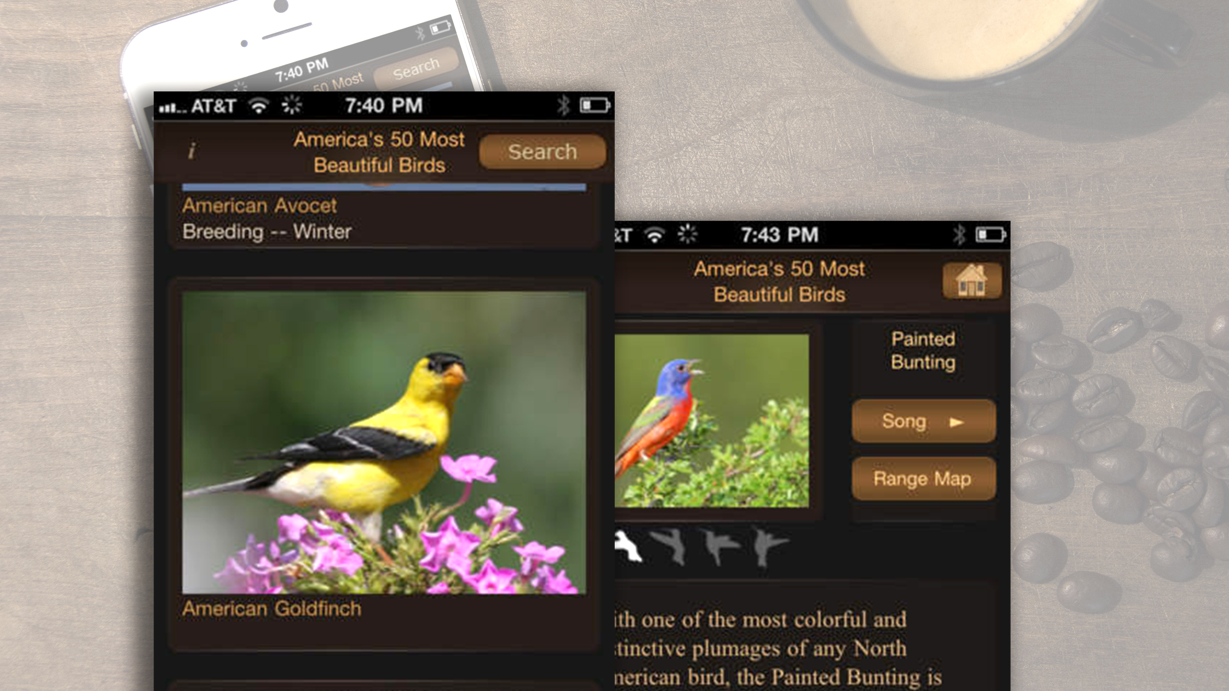 Beautiful Birds App for iPhone