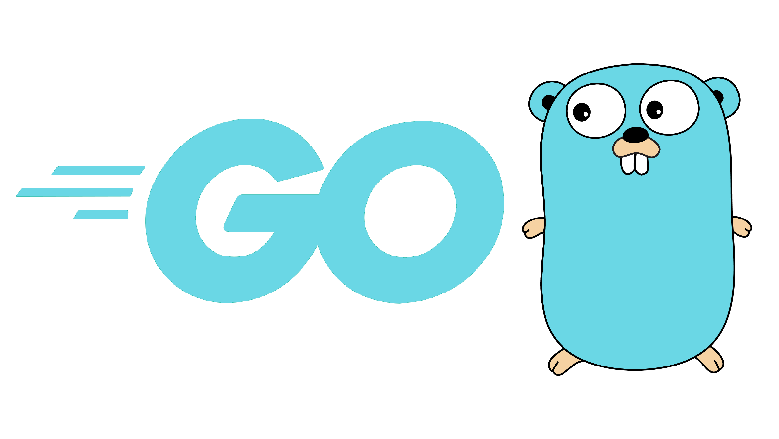 The Benefits of The Go Programming Language